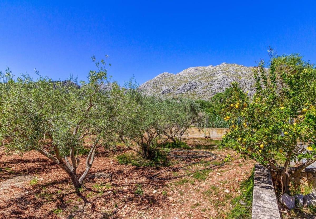 Beautiful In The Countryside Near By Renthousing Villa Pollença